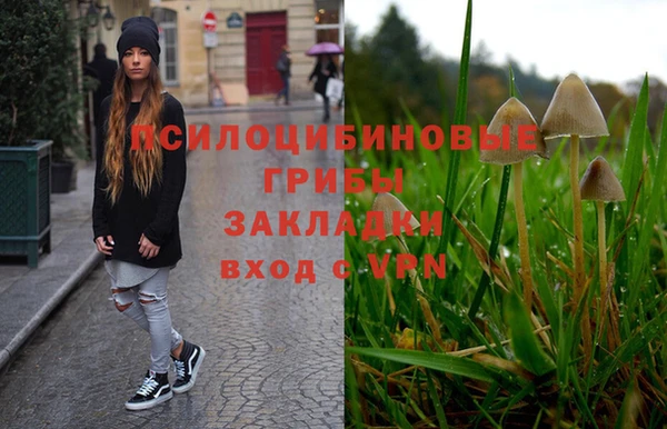 трава Вяземский