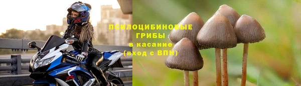 трава Вяземский