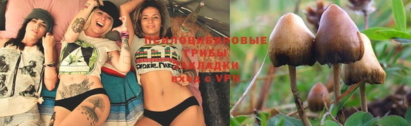 трава Вяземский